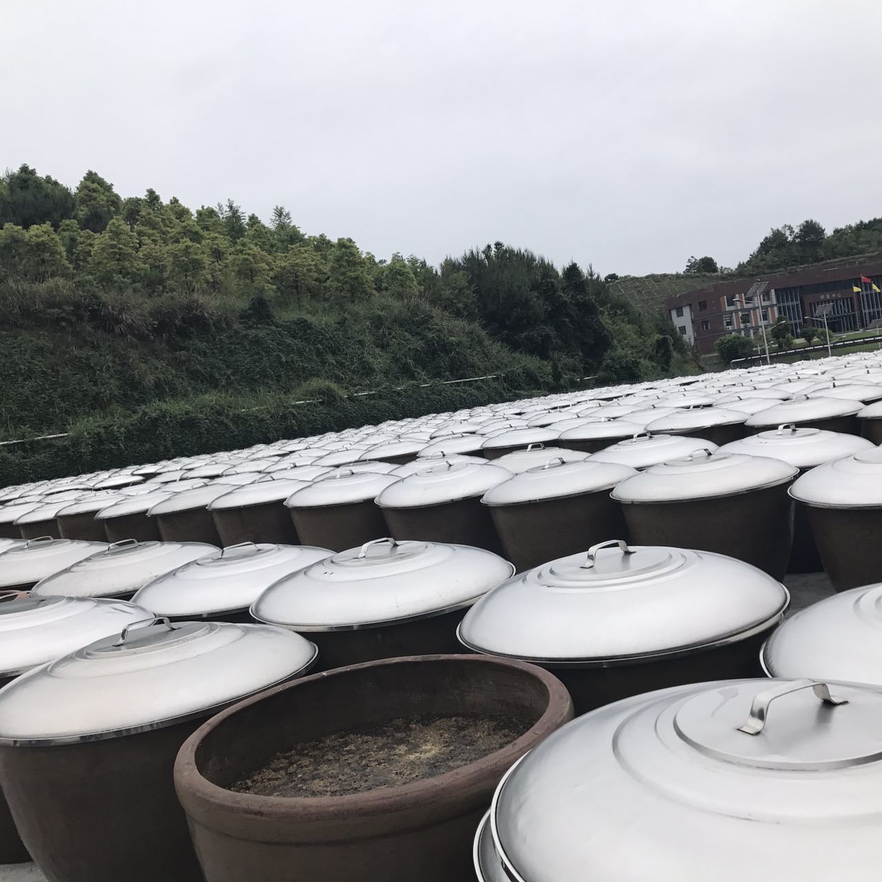 味.jpg 糖心影院